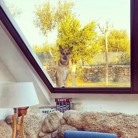 Linda Sardegna Villa